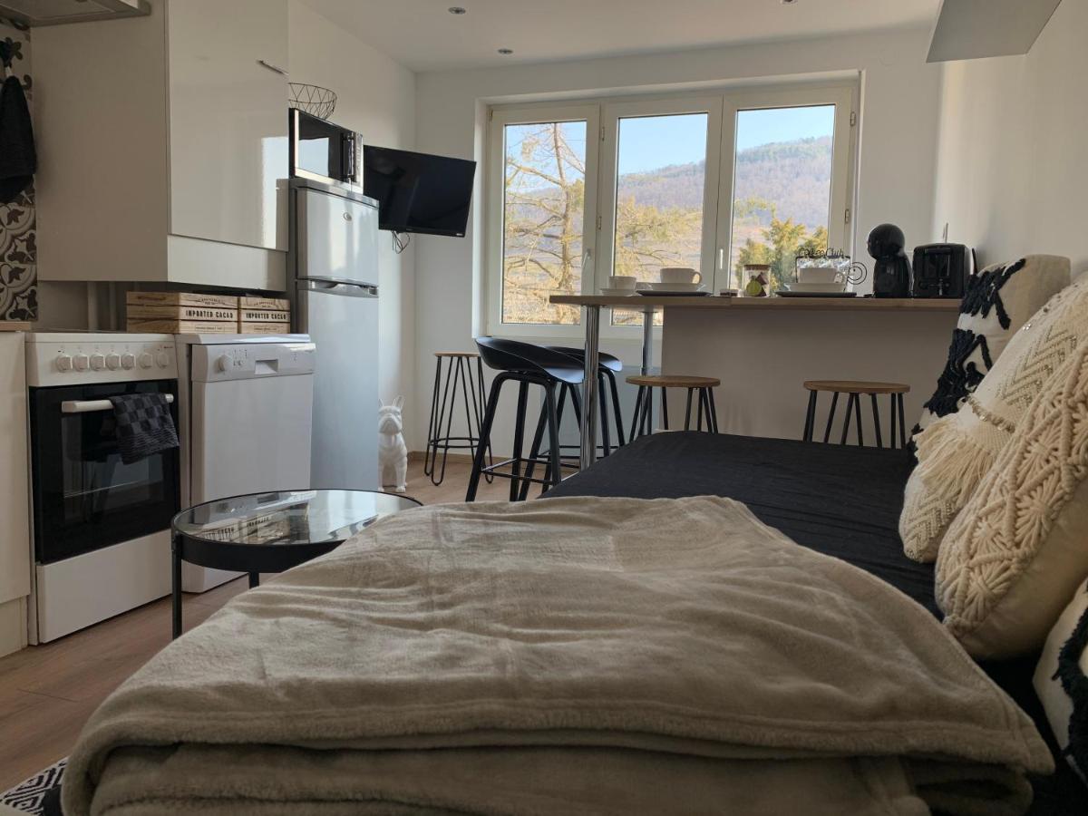 Le Cocon Apartamento Guebwiller Exterior foto