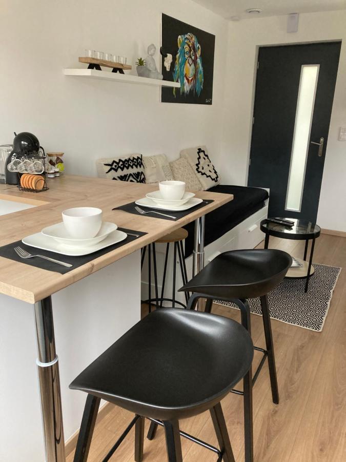 Le Cocon Apartamento Guebwiller Exterior foto