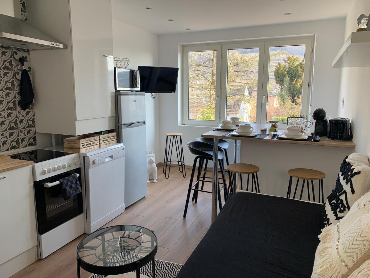 Le Cocon Apartamento Guebwiller Exterior foto